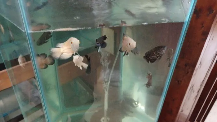 Outback Fish & Things Picture 4