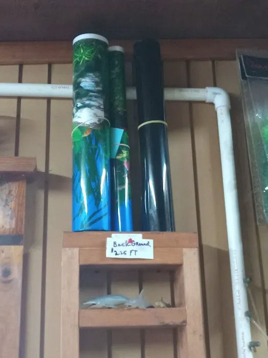 Outback Fish & Things Picture 9