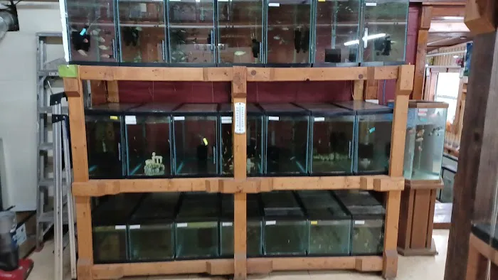 Outback Fish & Things Picture 1