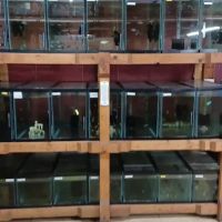 Outback Fish & Things ico