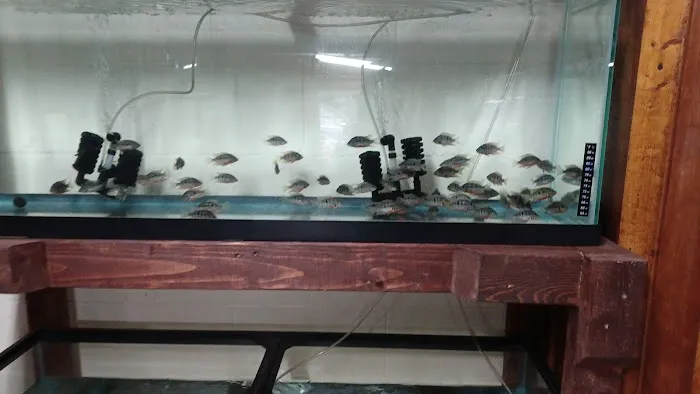 Outback Fish & Things Picture 5