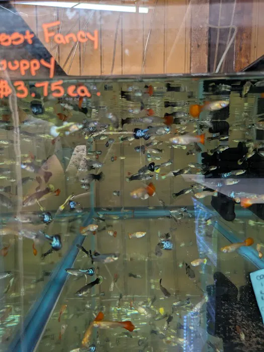 Outback Fish & Things Picture 8
