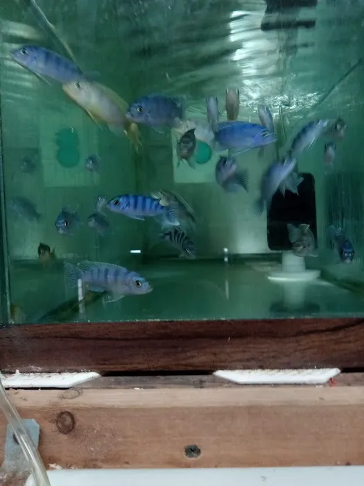 Outback Fish & Things Picture 7
