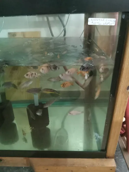 Outback Fish & Things Picture 10