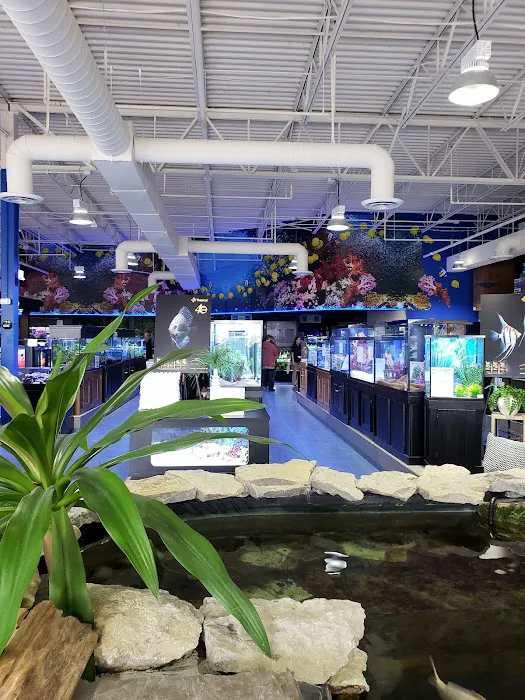 Aquarium Adventure Columbus Picture 2