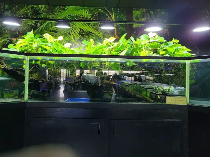 Aquarium Adventure Columbus Picture 9