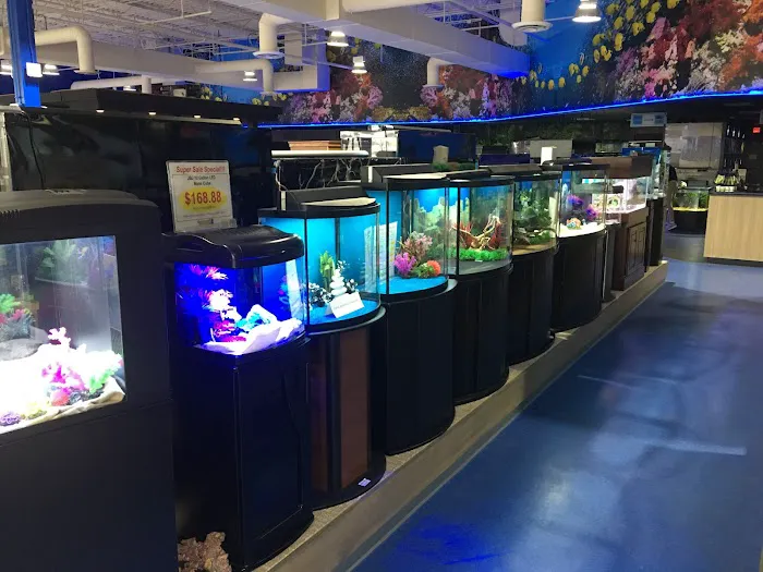 Aquarium Adventure Columbus Picture 10