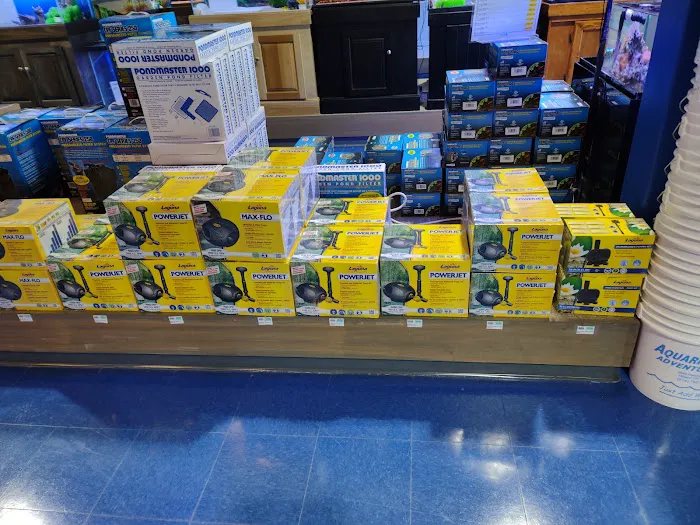 Aquarium Adventure Columbus Picture 5