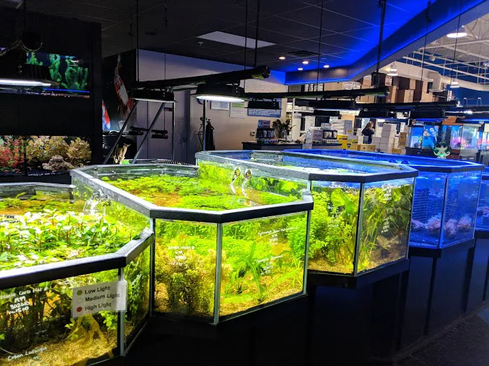 Aquarium Adventure Columbus Picture 6