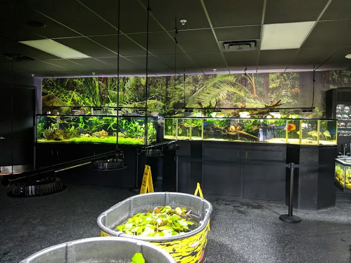 Aquarium Adventure Columbus Picture 8