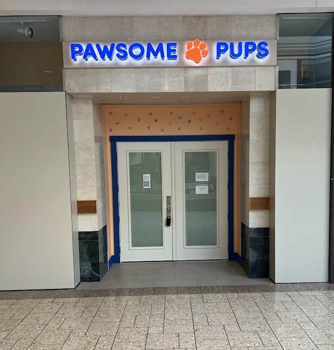 Pawsome Pups Puppies For Sale Picture 2