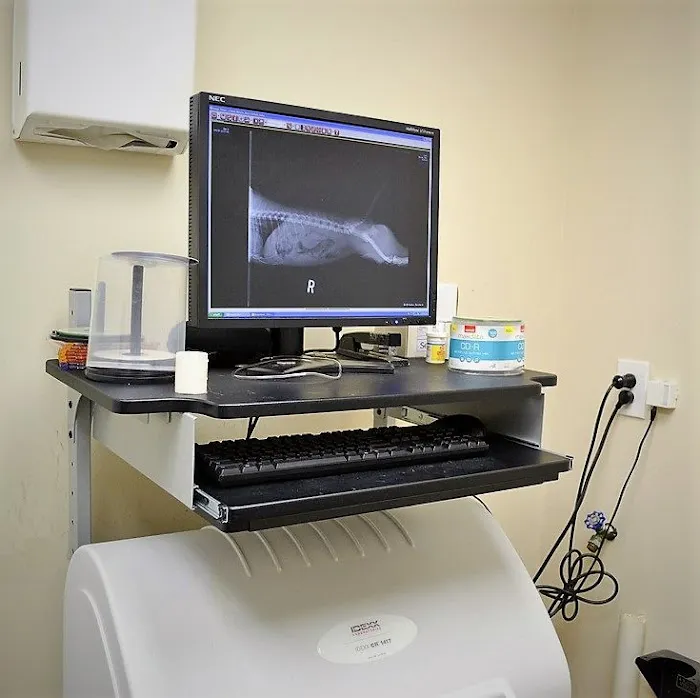 VCA County Veterinary Hospital Picture 7