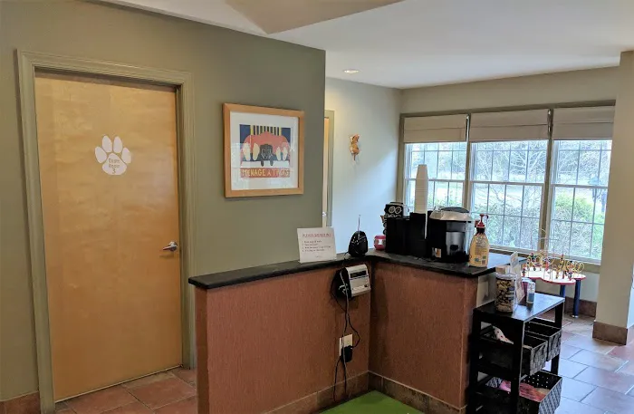 VCA County Veterinary Hospital Picture 8