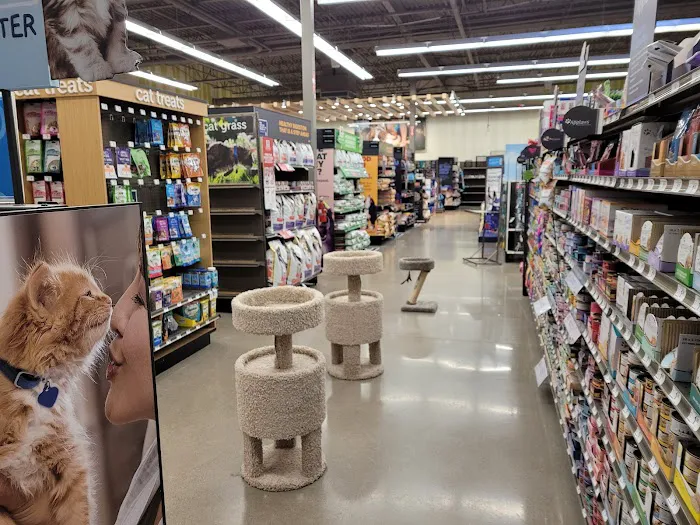 Petco Picture 2