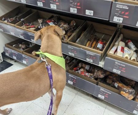 Petco