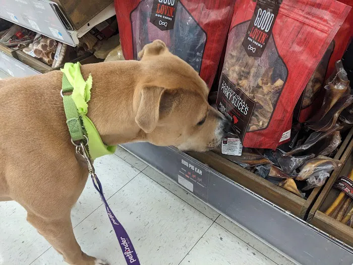 Petco Picture 3