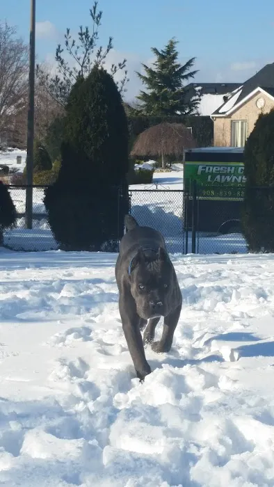 Farmingdale Veterinary Clinic Picture 1