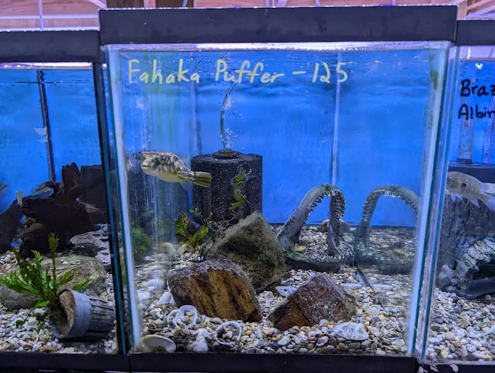 Rivers to Reefs Aquariums Picture 1