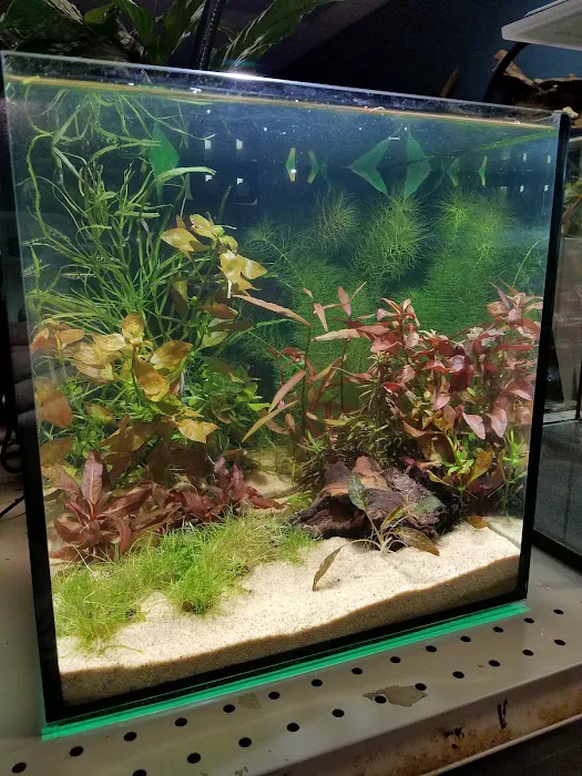 Rivers to Reefs Aquariums Picture 10