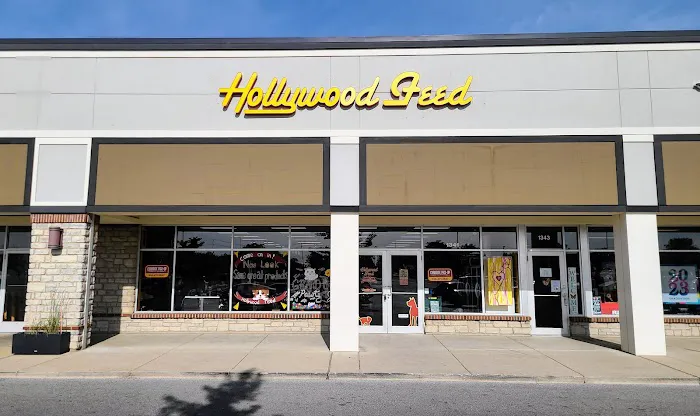 Hollywood Feed Picture 4