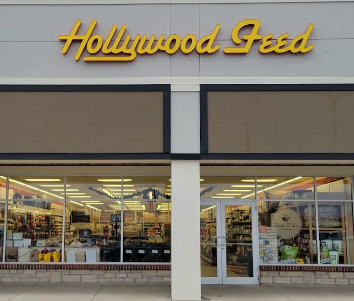 Hollywood Feed Picture 2