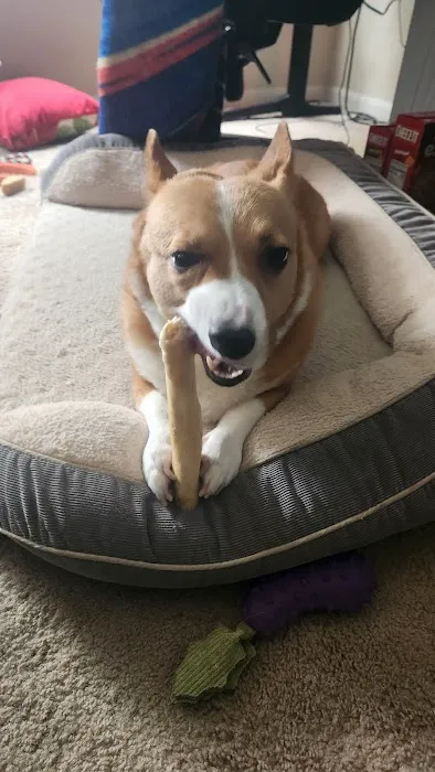 Hollywood Feed Picture 5