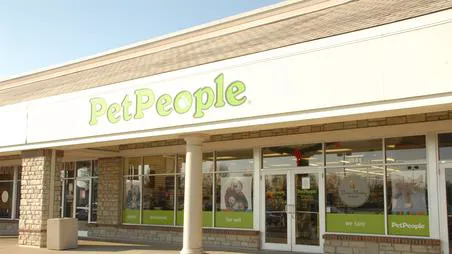 Hollywood Feed Picture 1