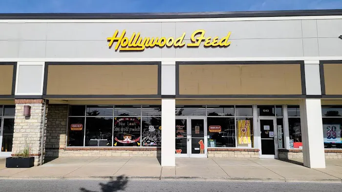 Hollywood Feed Picture 8