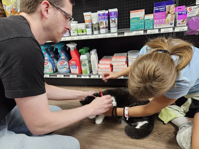 Hollywood Feed Picture 3