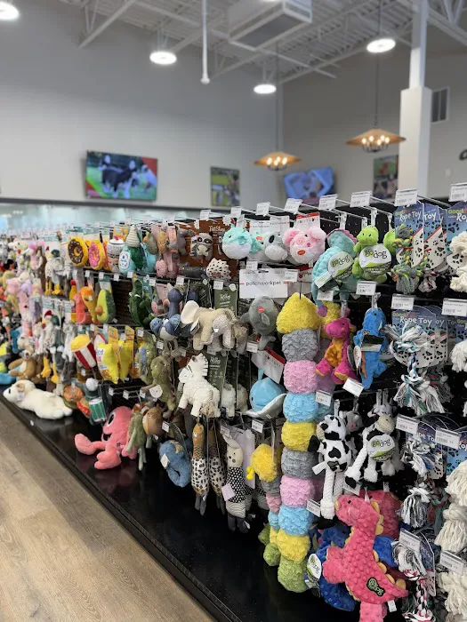 Petland Gahanna Picture 7