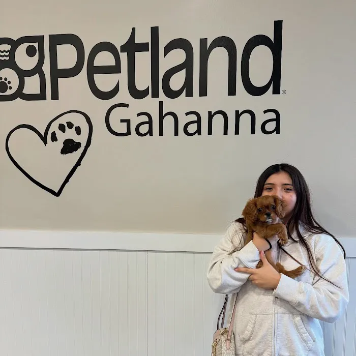 Petland Gahanna Picture 8