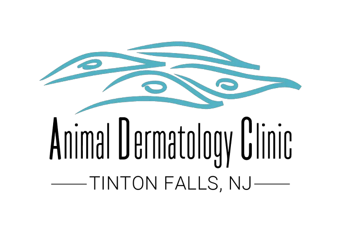 Animal Dermatology Clinic Picture 1