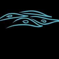 Animal Dermatology Clinic ico