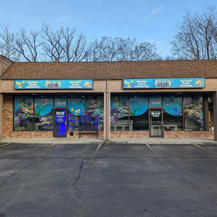 Matt's Corals & Service Picture 8