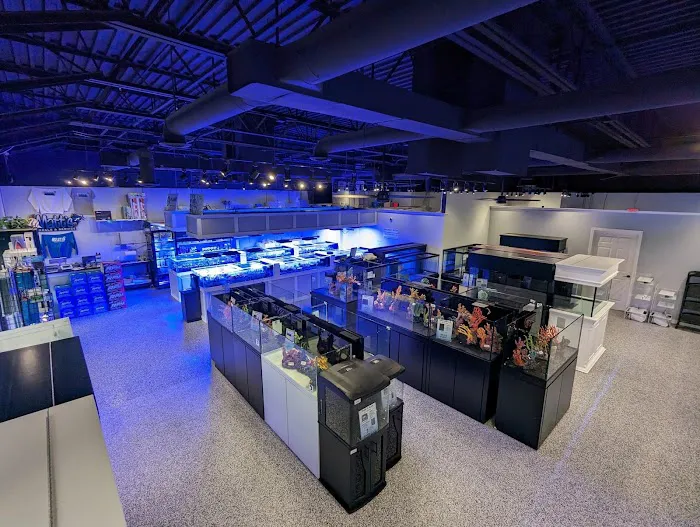 Matt's Corals & Service Picture 6