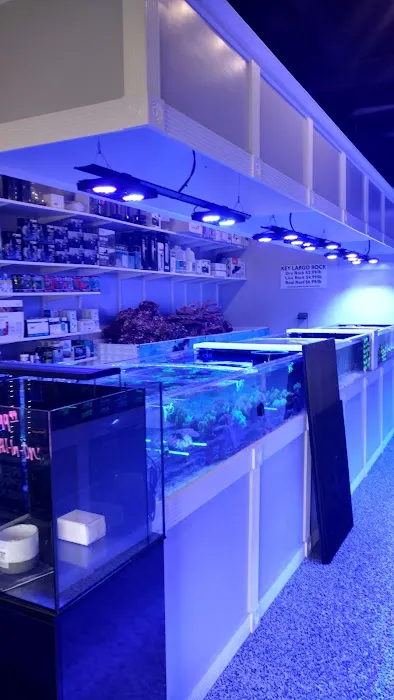 Matt's Corals & Service Picture 1