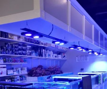 Matt's Corals & Service