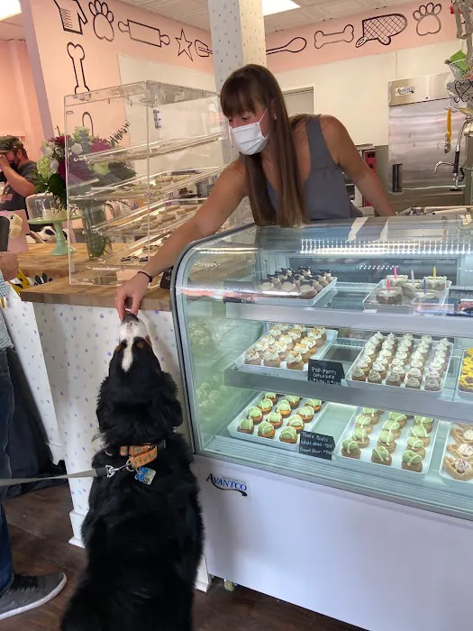 The Cakehound Picture 10