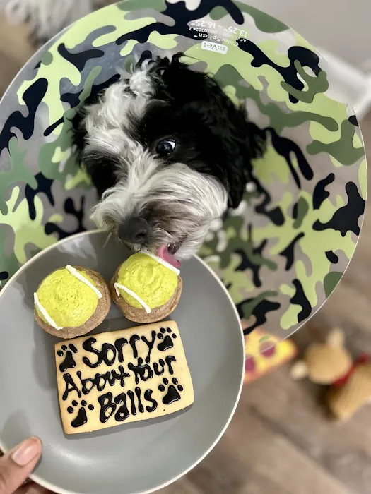 The Cakehound Picture 8