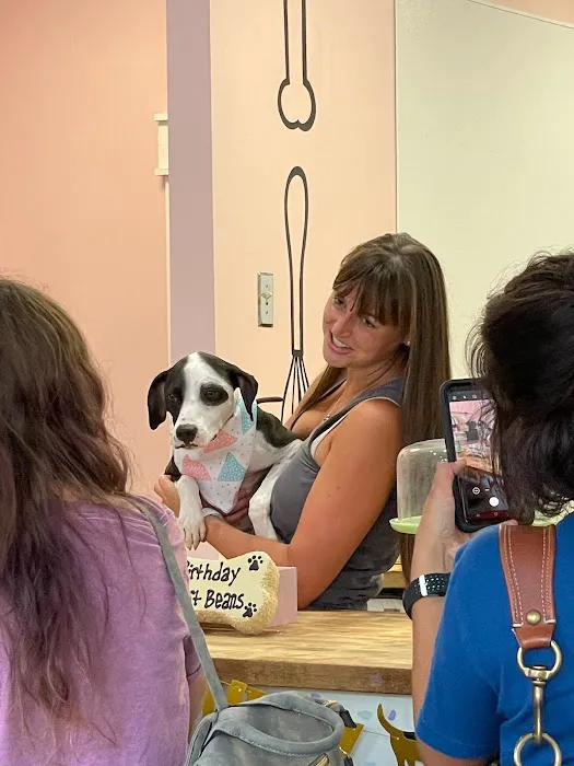 The Cakehound Picture 3