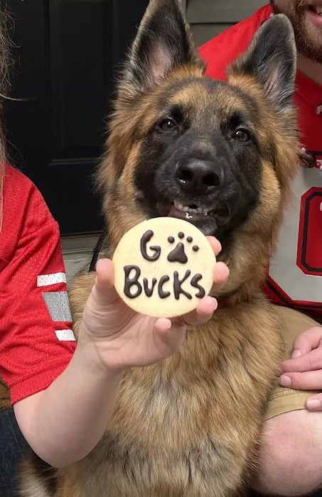 The Cakehound Picture 4