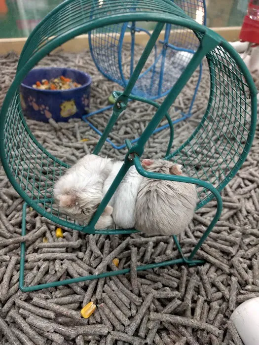 Petland Lewis Center Picture 2