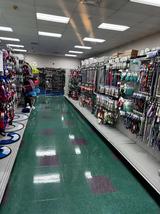 Petland Lewis Center Picture 8