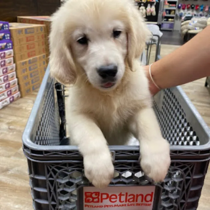 Petland Lewis Center Picture 10