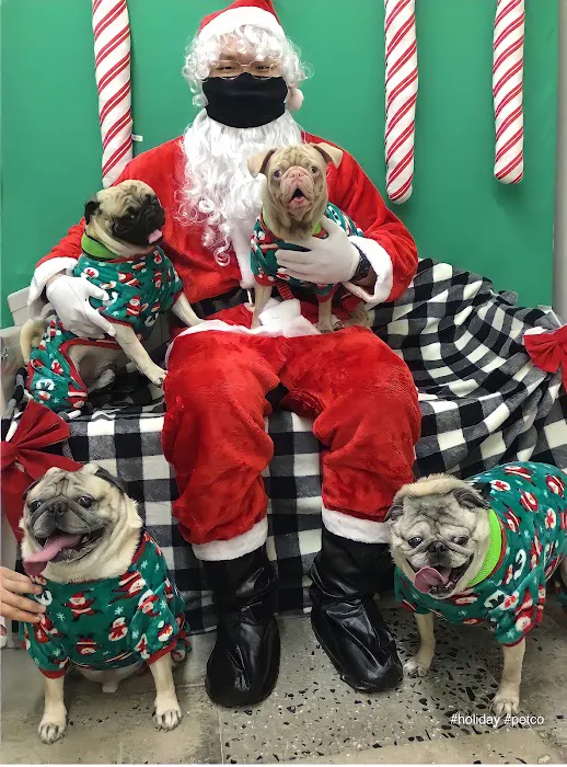 Atlantic Highlands Animal Hospital Picture 9