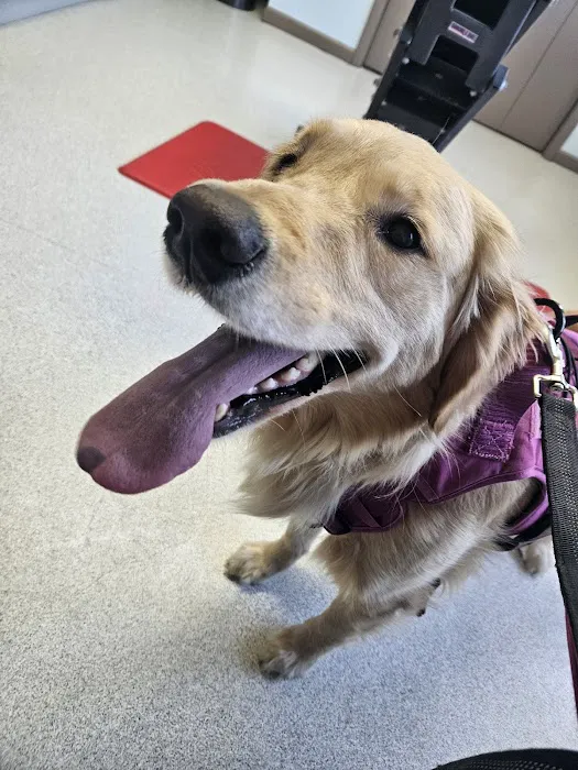 Atlantic Highlands Animal Hospital Picture 6