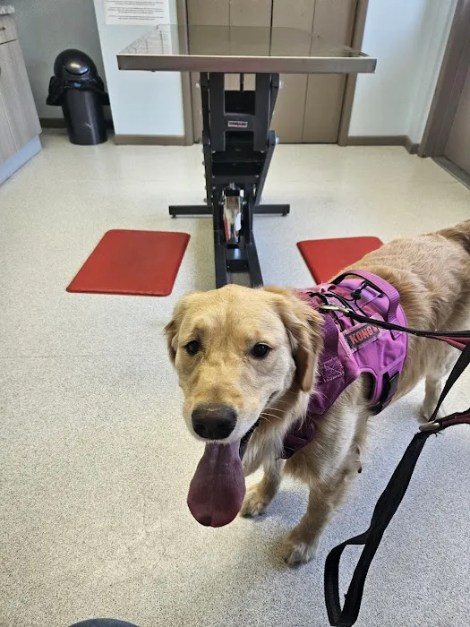 Atlantic Highlands Animal Hospital Picture 8