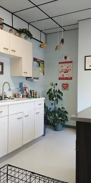 Atlantic Highlands Animal Hospital Picture 7