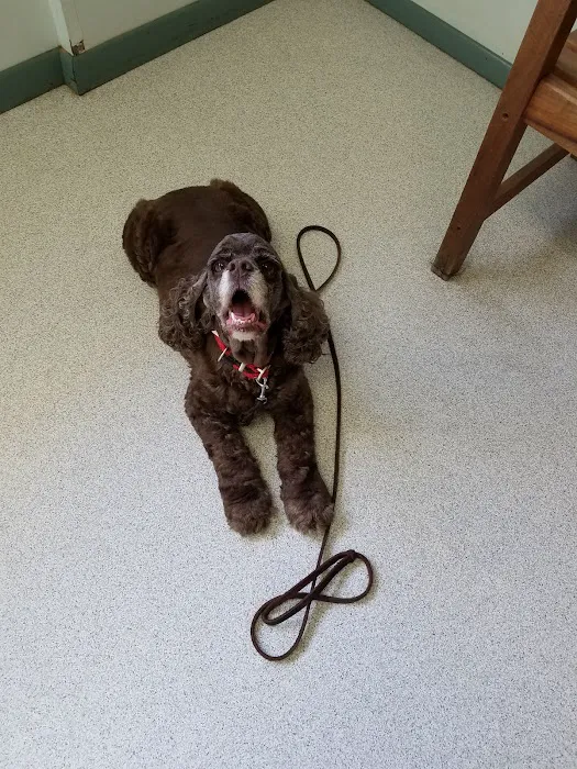 Atlantic Highlands Animal Hospital Picture 5