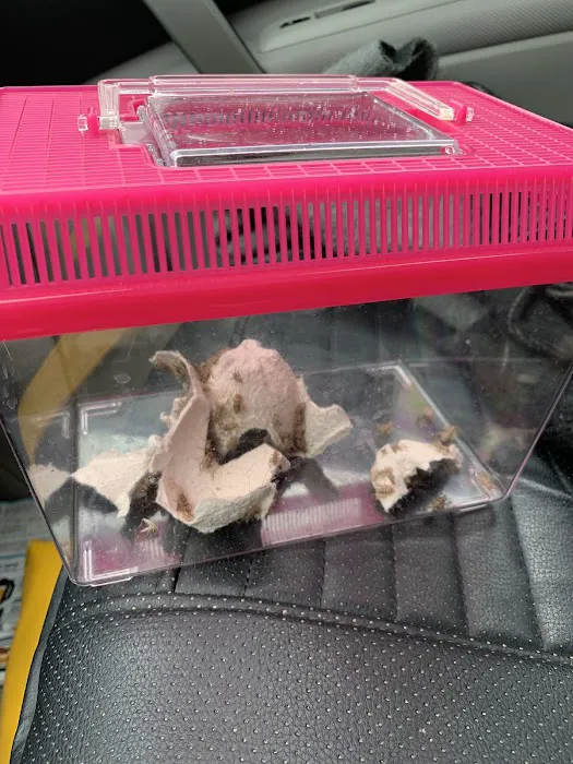 Pet Supplies Plus Powell Picture 9